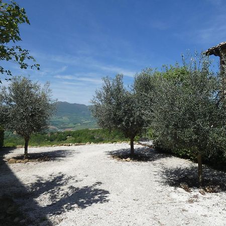 مبيت وإفطار Borgo Crispiero المظهر الخارجي الصورة